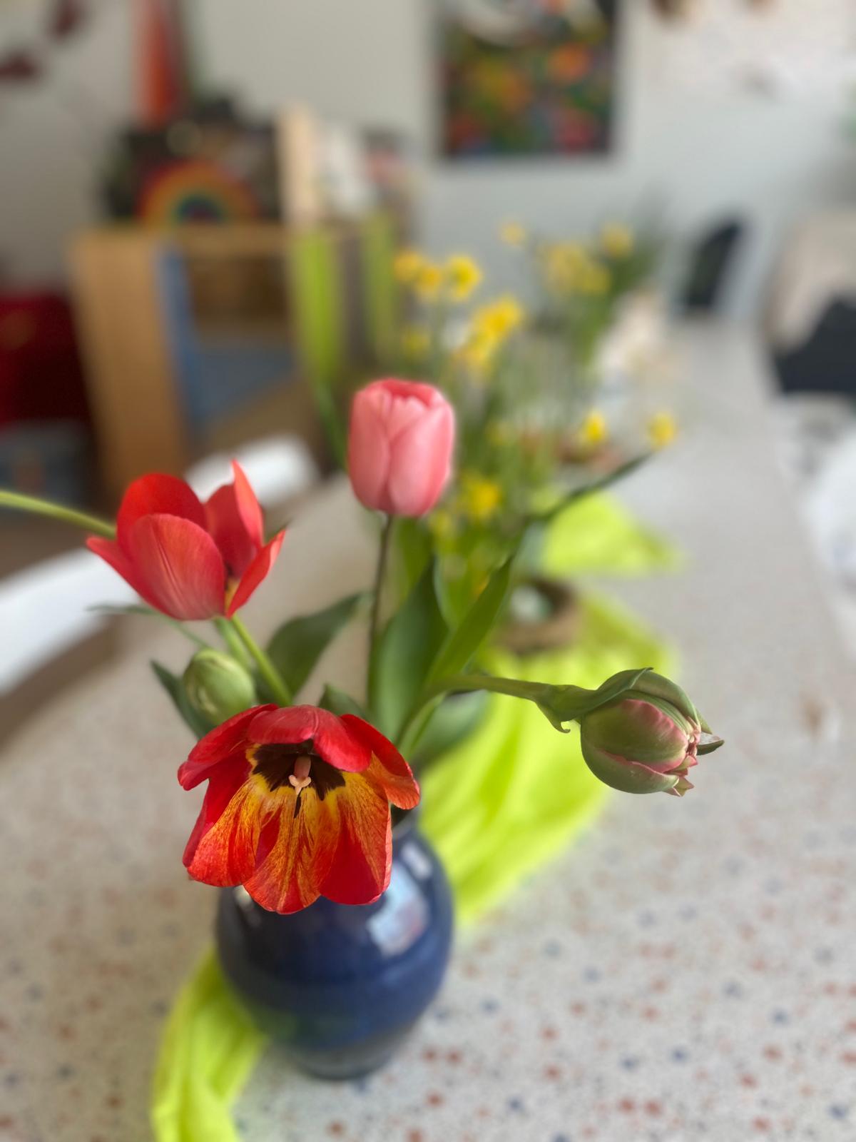 Rote und rosa Tulpen in einer blauen Vase